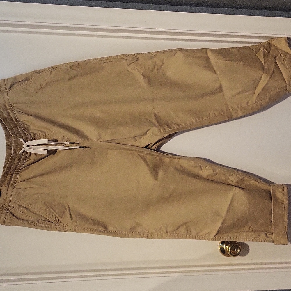 Lane Bryant Khaki Elastic Waist Pants